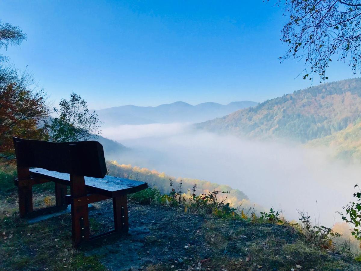 Carpe Diem - Cote-Montagnes Oderen Eksteriør billede